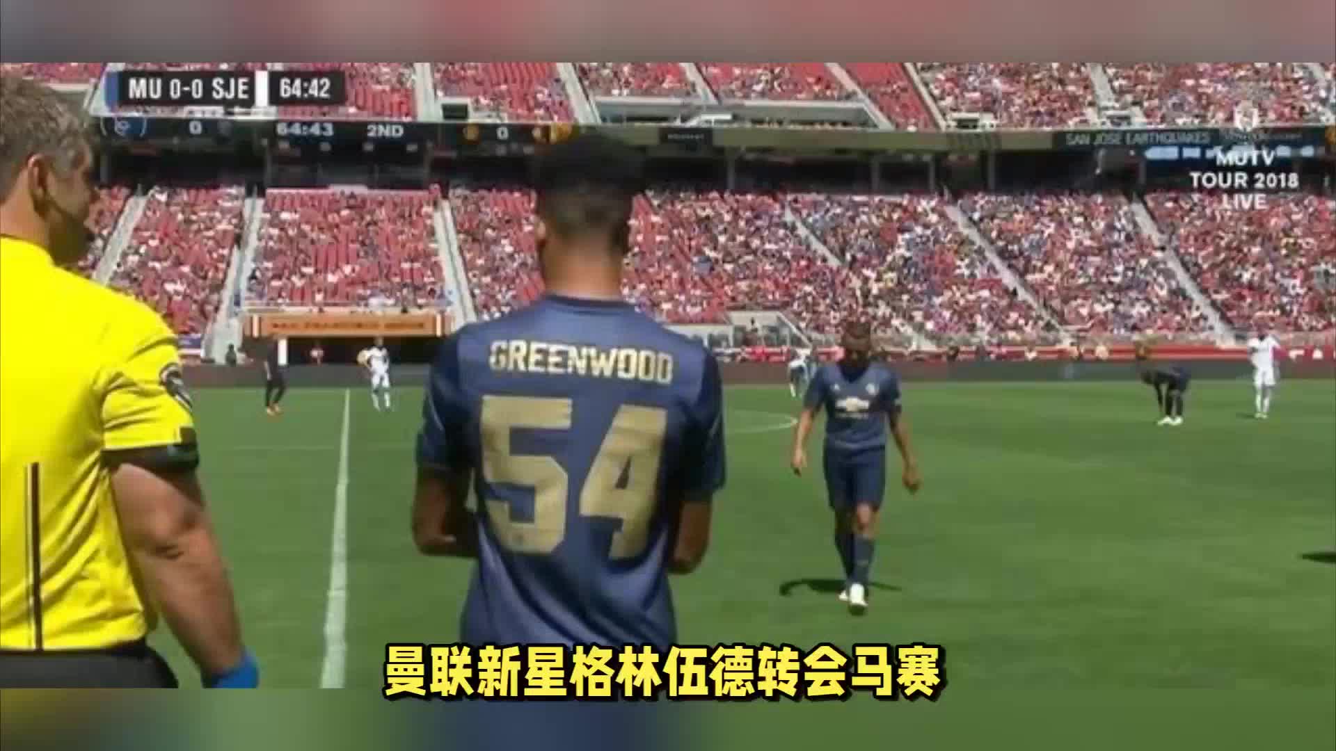 观赛体